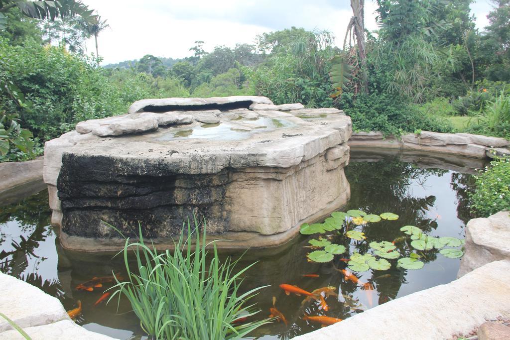Le Residence De Josephine Kloof Esterno foto
